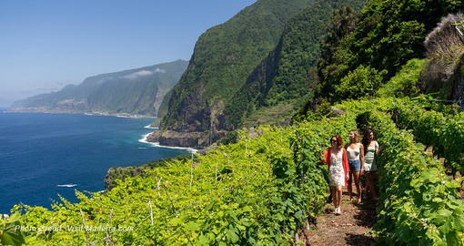 Discover Madeira's hiking trails and feel invigorated by the landscapes