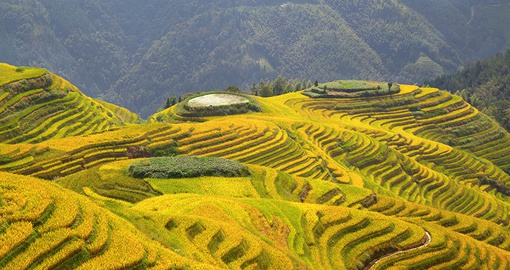 Take in the incredible landscape of the Longsheng rice terraces on your China Tour