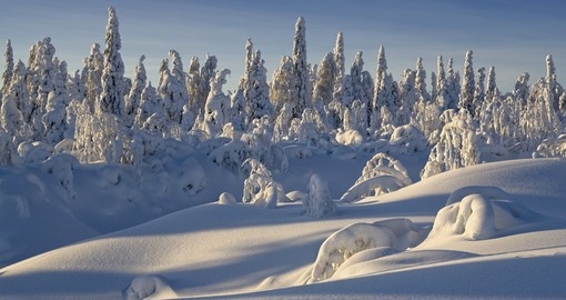 Winter wonderland - Siberia