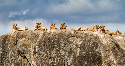 Serengeti is Tanzania's oldest national park and remains the flagship of the country's tourism industry