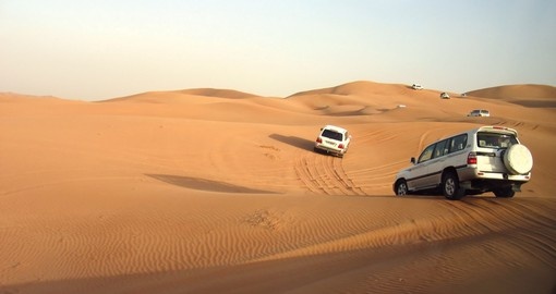 Desert safari