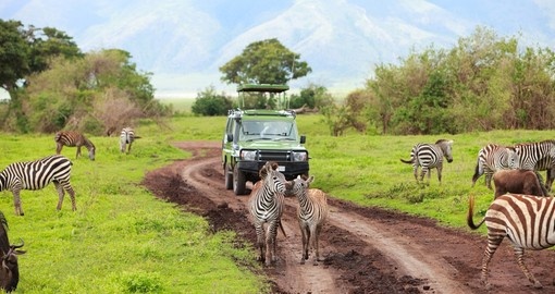 A Tanzania safari game drive in Ngorongoro Crater
