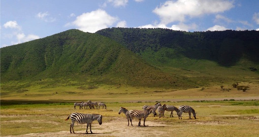 Visit Ngorongoro Crater on your Tanzania safari