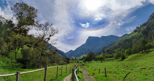Experience the surreal natural beauty as you meander through the Quindio Coffee Region in the rural heart of Colombia