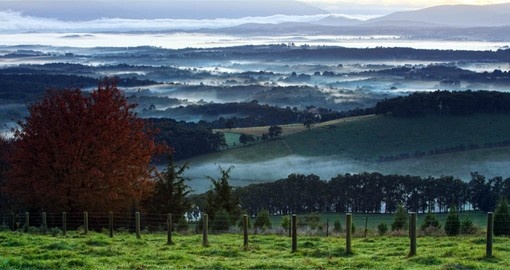 Enjoy a day in the Yarra Valley as part of your Australia Vacation