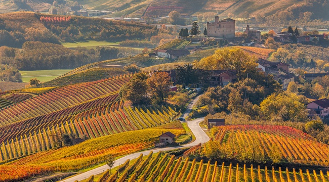 Italy vineyards with fall colours