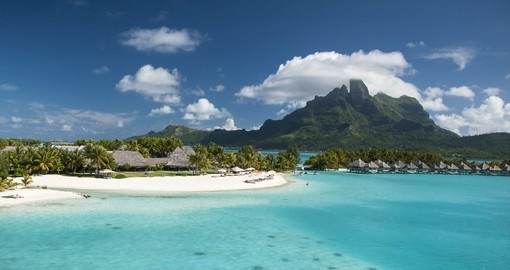 Experience all the amenities of the St. Regis Bora Bora during your next Bora Bora vacations.