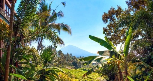 Visit the rice fields and see Mount Batukaru on your Bali Vacation