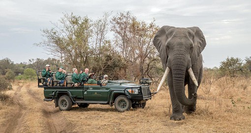 Get up close to Africa's Big 5 at the Karongwe Private Game Reserve