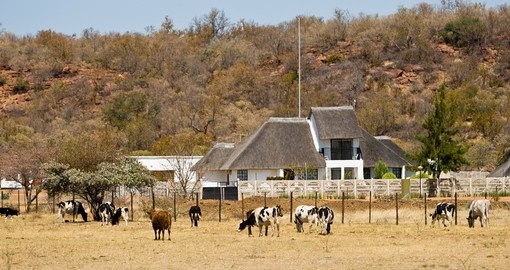 Visiting an African farm near Gaborone is a unique inclusion to your Botswana safari.