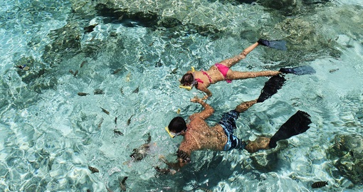 Enjoy the unique snorkeling experience in pristine water on your trip