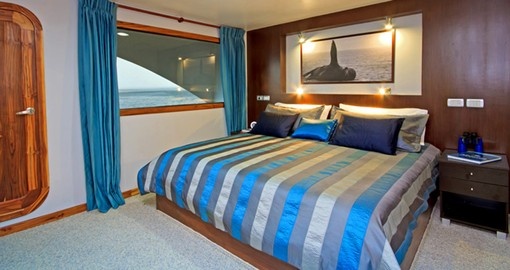 Relax in your luxurious suite on your Galapagos Tour
