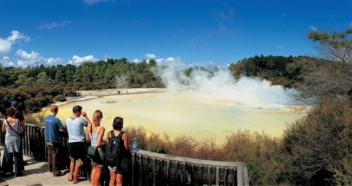 Visit Rotora's geothermal area on your New Zealand Vacation