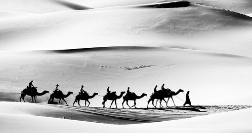 A caravan in the Sahara Desert makes for a great photo opportunity on all Morocco tours.