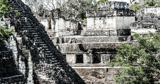 Tikal National Park Tours