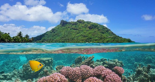 Explore the territory's most well-tended garden, Huahine