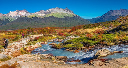 Explore the Tierra del Fuego National Park, the only national park to boast a breathtaking ocean shoreline