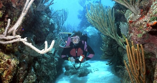 Roatan is home to the second largest coral reef in the world and a must see for divers during their Honduras tour