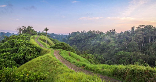 Explore stunning Ubud on your Indonesia vacation