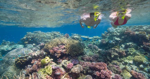 Enjoy the Great Barrier Reef on your next trip to Australia