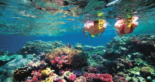 The Great Barrier Reef holds many exotic and breathtaking views
