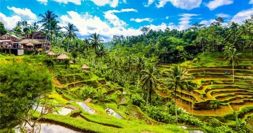 Your Bali Vacation travels inland to Ubud