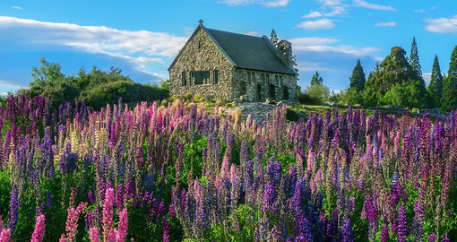 Known for it's remarkable turquoise colour, Lake Tekapo is part of the Mackenzie Basin
