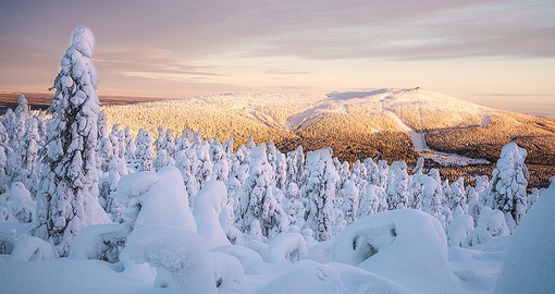 Head North to escape the city sights and fall into the beauty of the Finnish Lapland