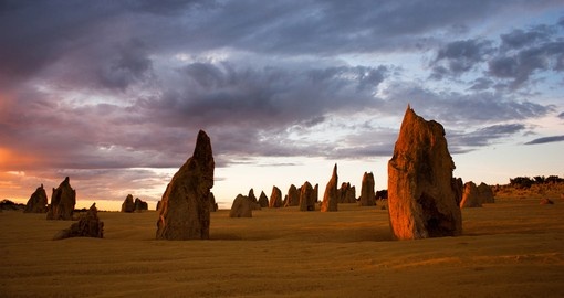 Experience the Nambung National Park and the Pinnacles on your trip to the Australian Outback