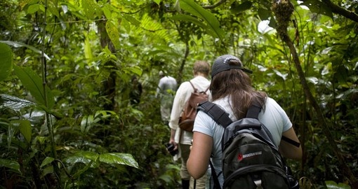 A Walking Excursion in the Amazon is an amazing experience on your next Peruvian vacation.