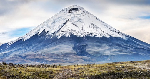 Discover Cotopaxi in the Andes Mountains during your next Ecuador tours.