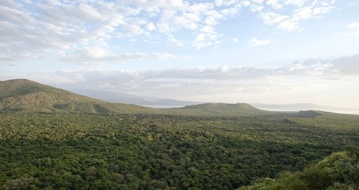 Great view of The National Park in Arba Minch
