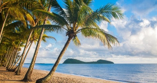 A beautiful tropical beach with palm trees