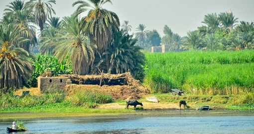 Nile riverside - rural life