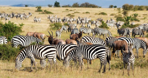 One of nature's wonders, the annual Great Migration involves over 2 million animals
