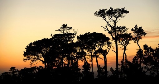 An African sunset through the trees