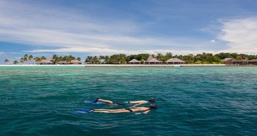 Snorkel off the beach of the Veligandu Island Resort during your Maldives vacation