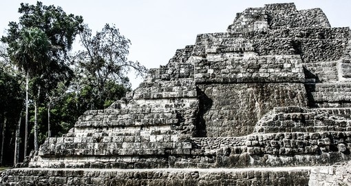 Tikal National Park, know for it's Mayan Ruins, are a must see during your Guatemala vacation
