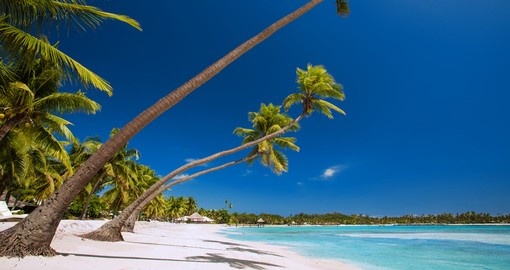 Enjoy peace by walking on the white sandy Fijian beaches on your next trip