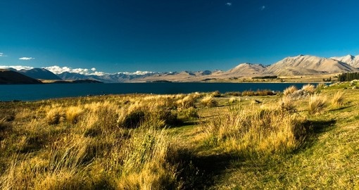 You will be amazed by the scenic view of Lake Tekapo on your next New Zealand vacations.