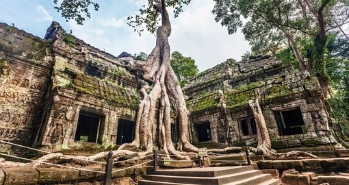 Ta Prohm Temple - Angkor Wat