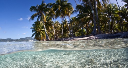Walk on the amazing beaches and have a sunbathe under palms on your next Bora Bora tours.