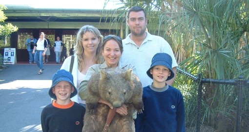 Include a Wombat encounter at the Australia Zoo as part of your Australia Vacation