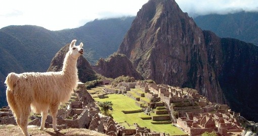 Explore the "Lost City" of Machu Picchu