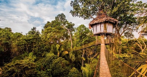 Stay at the Treehouse Lodge Iquitos during your Peru vacation.