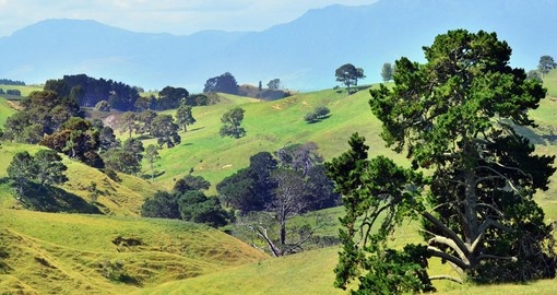 Explore the green pastures pf Matamata and visit the Hobbiton movie set during your New Zealand Vacation