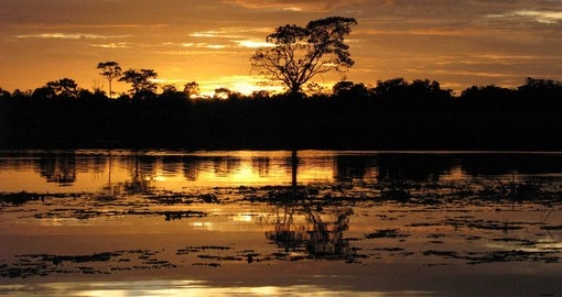 Experience Cruising the Amazon on your next trip to Brazil.