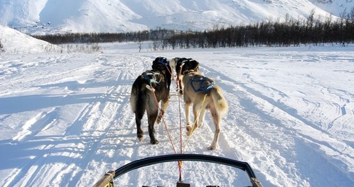 Dog sledging around the Arctic Circle