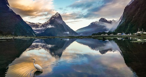 Float through Milford Sound, a deep fjord known for its surrounding mountains, waterfalls, and wildlife