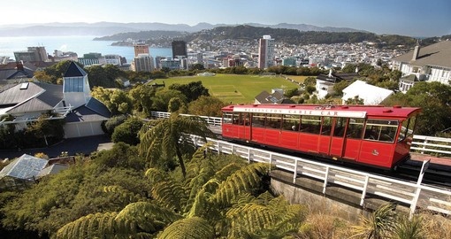 Your New Zealand Vacation concludes in the charming capital city of Wellington